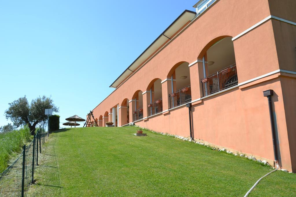 Susanna Degli Ulivi - &